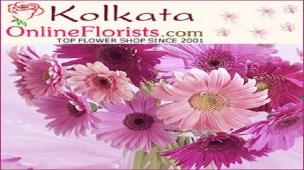 BEST GIFTS FOR OCCASION OF LIGHT  IN KOLKATA FREE 
