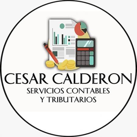 SERVICIOS CONTABLES Y TRIBUTARIOS  EN COQUIMBO